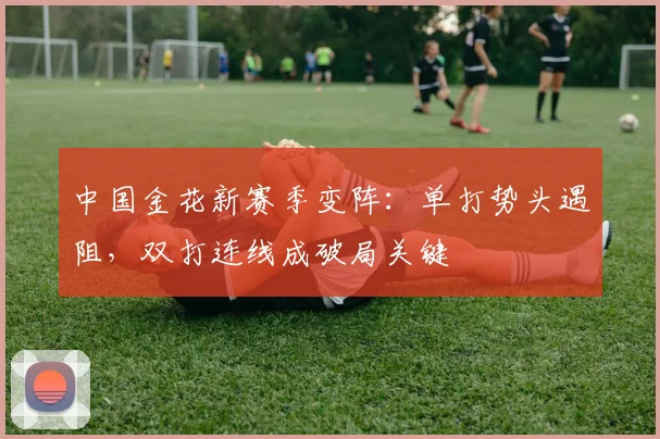 中国金花新赛季变阵：单打势头遇阻，双打连线成破局关键 - 2026世界杯推荐