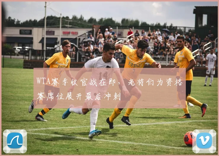 WTA赛季收官战在即，老将们为资格赛席位展开最后冲刺 - 2026世界杯推荐