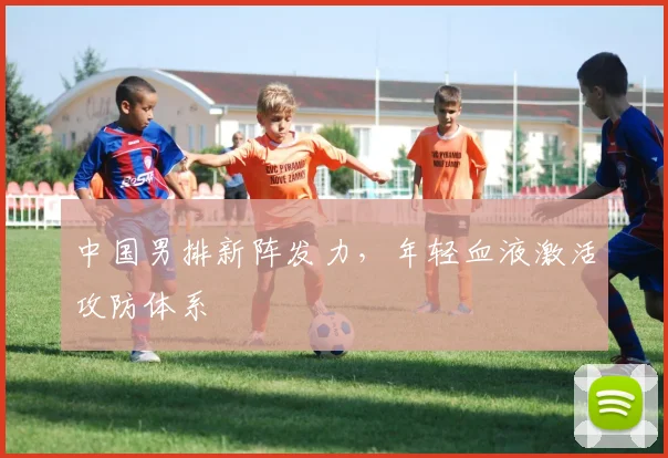 中国男排新阵发力，年轻血液激活攻防体系 - 2026世界杯推荐