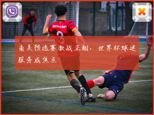 南美预选赛激战正酣，世界杯球迷服务成焦点 - 2026世界杯推荐